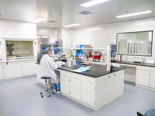 專業見證 品質護航——走進妙可藍多奶酪工廠，直擊品牌硬實力